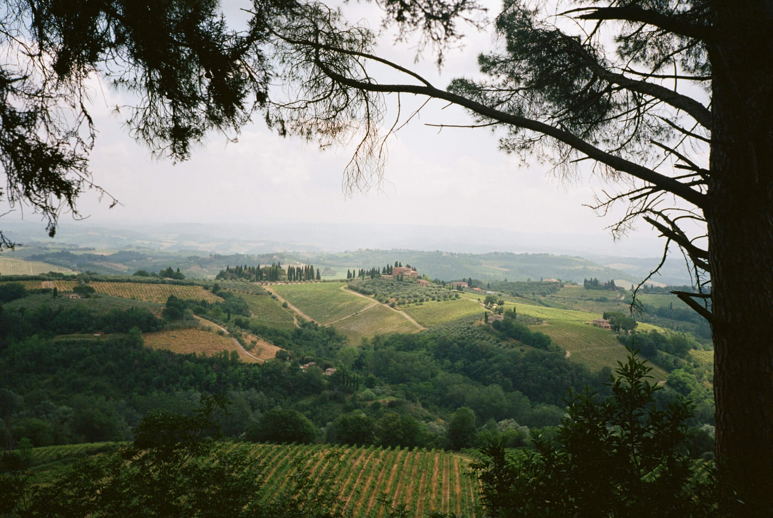 tuscany-15