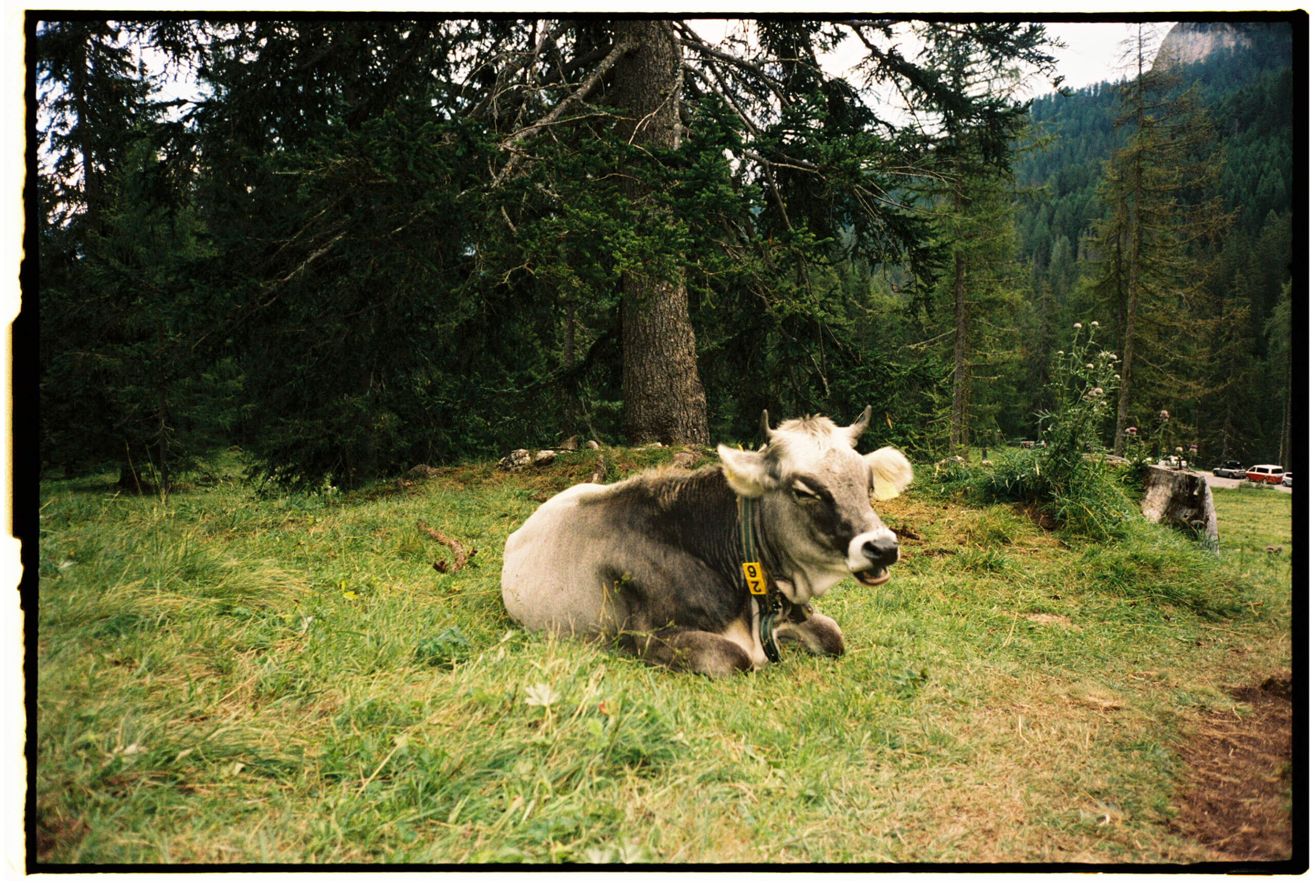 dolomites-08